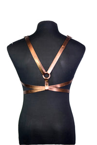 Body Harness